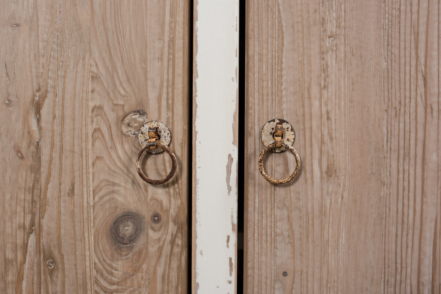 Sarreid - Connor Bookcase - White - Transitional