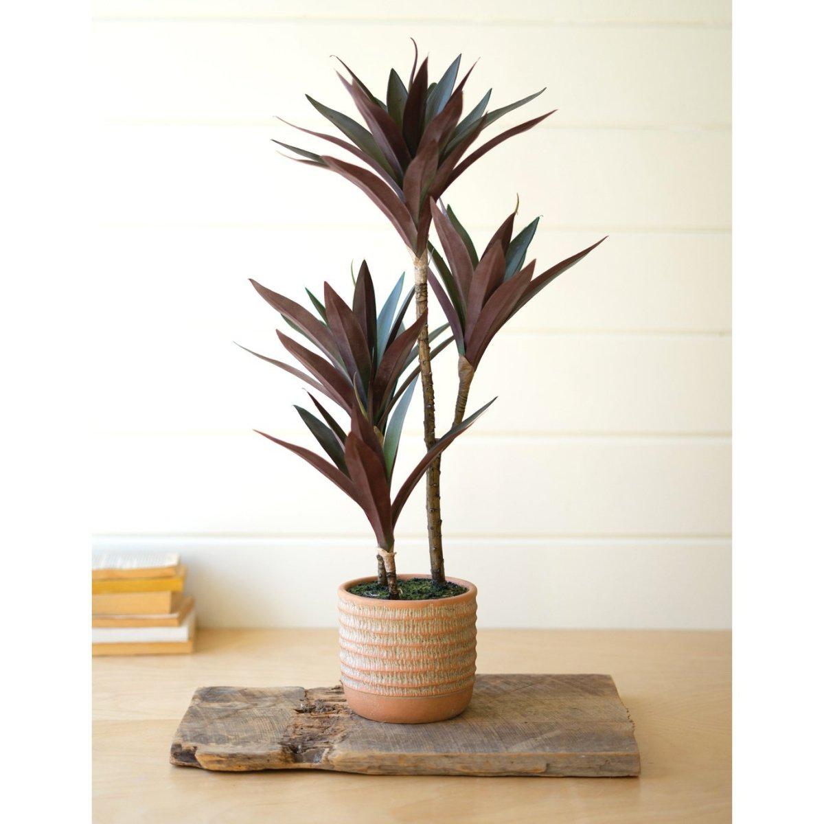 Kalalou - ARTIFICIAL YUCCA PLANT WITH CEMENT POT - CYF1397 - CYF1397 - Kalalou - $83.95
