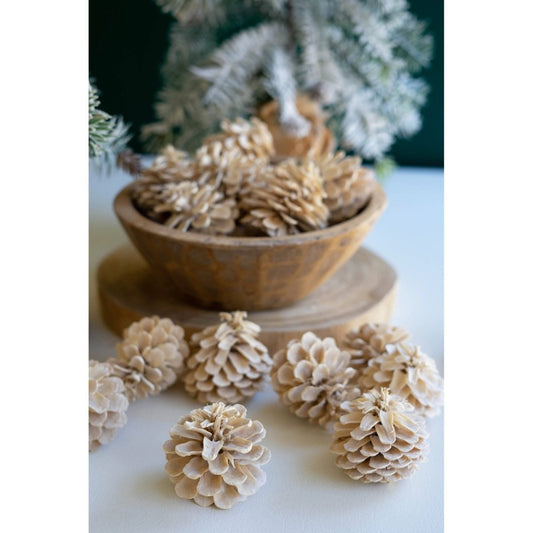 Kalalou - BAG OF BLEACHED PINE CONES - NGLB1053 - NGLB1053 - Kalalou - $95.95