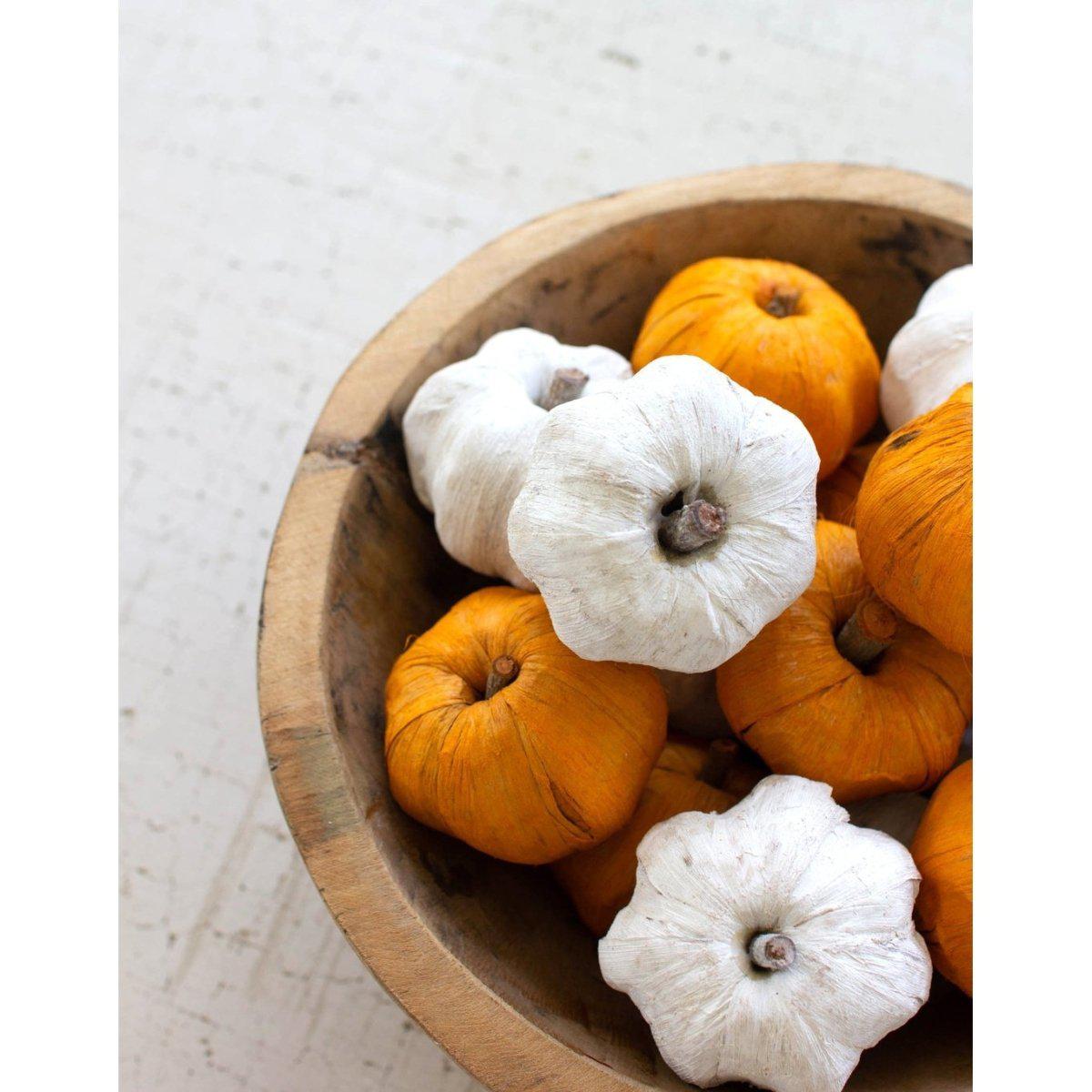 Kalalou - BAG OF FIFTEEN DRIED MINIATURE FAUX PUMPKINS - WHITE - NSBE1025 - NSBE1025 - Kalalou - $191.95